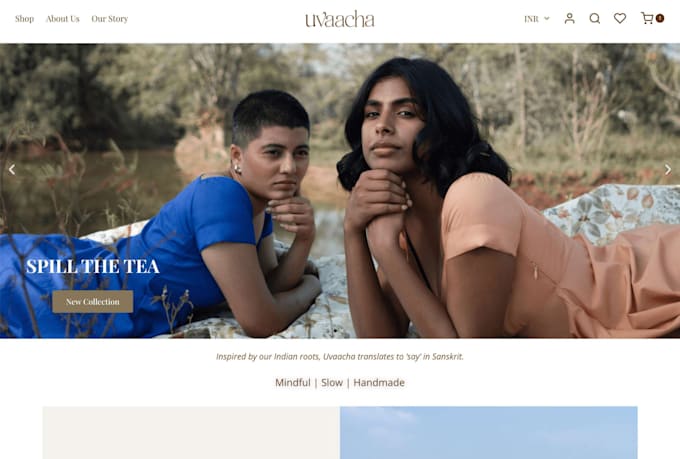 build wordpress ecommerce website using woocommerce, online store